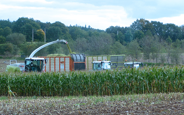 Biogasanlagen