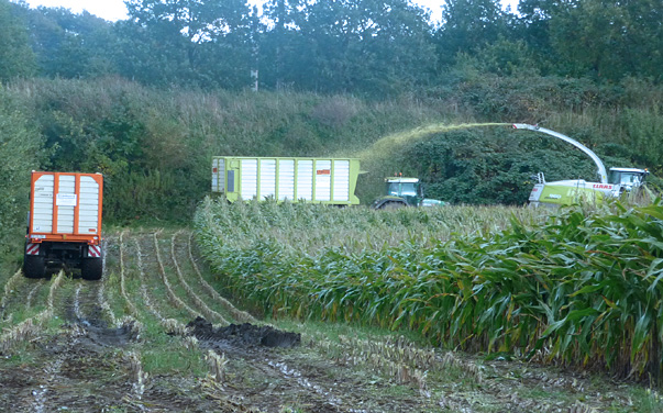 Biogasanlagen