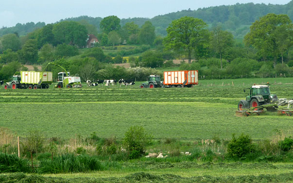 Häckseln